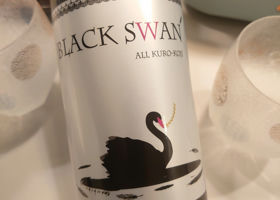 BLACK SWAN チェックイン 1