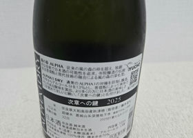alt 1