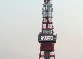 alt 3
