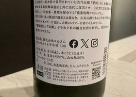 alt 3