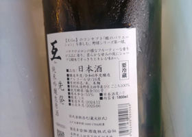alt 1