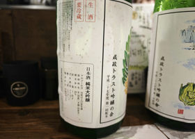 alt 3