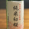 初桜酒造のラベルと瓶 2