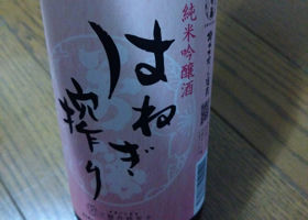 alt 2