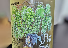 三芳菊 チェックイン 2