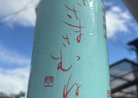 alt 1