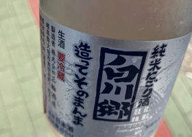 alt 1