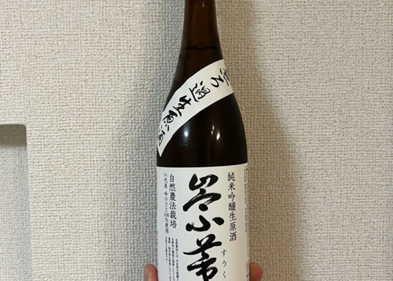 alt 1