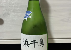alt 1