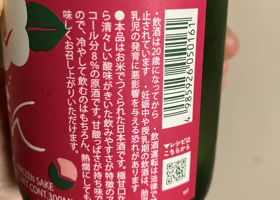 alt 3