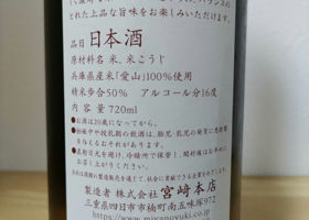 alt 3