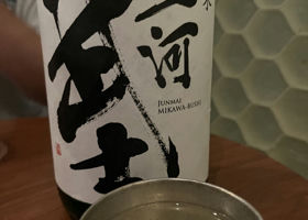 alt 1