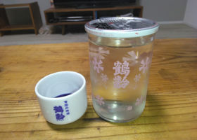 alt 1