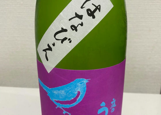 alt 1