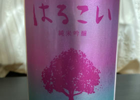 alt 2