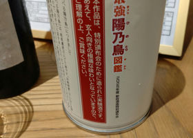 alt 3