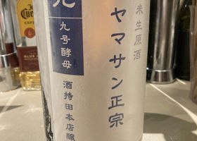 alt 1