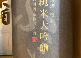 alt 1
