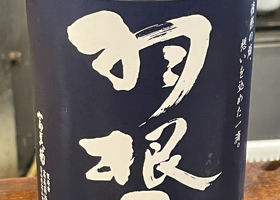 alt 1