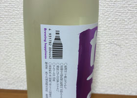 alt 2