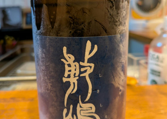 alt 1