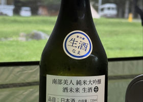 alt 1