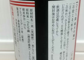 alt 3