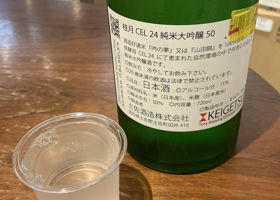 alt 4