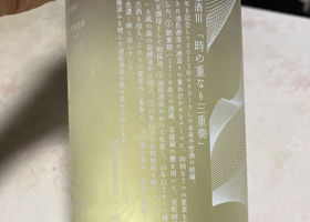 alt 3