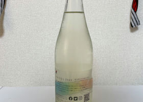 alt 3