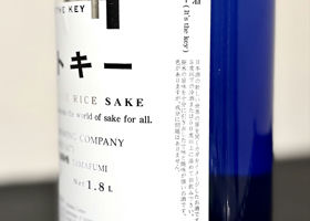 alt 3