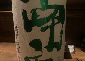 alt 1