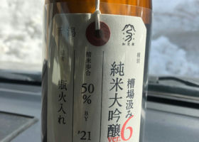 alt 1