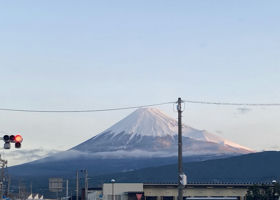 alt 4