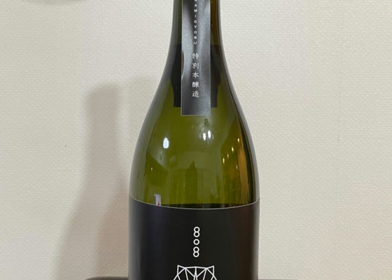 alt 1