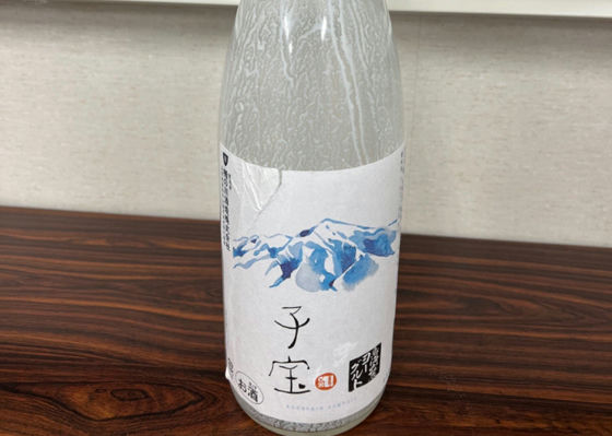 alt 1