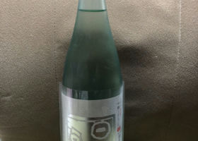 alt 1