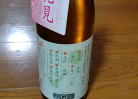 alt 1