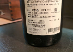 alt 3
