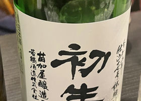 alt 1