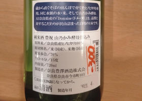 alt 3