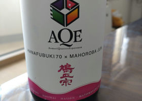 alt 1