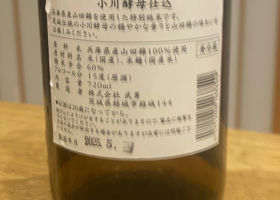 alt 2