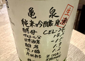 alt 1