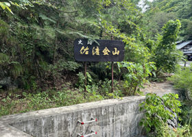 alt 4