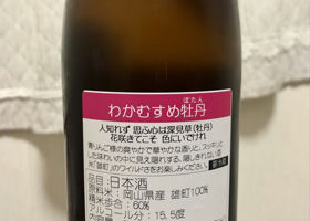 alt 2