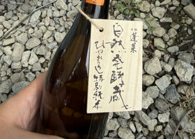 alt 3
