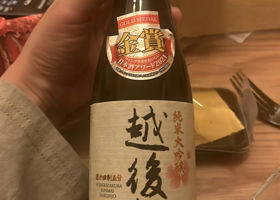alt 3