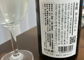 alt 2