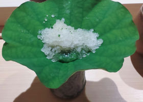 alt 2